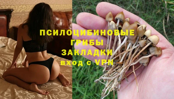 2c-b Остров