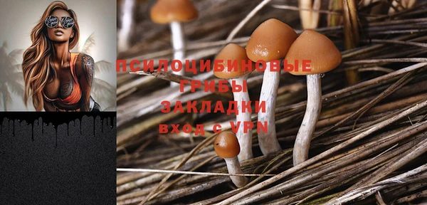 2c-b Остров