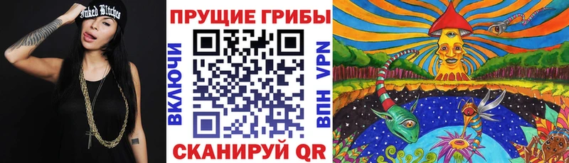 Галлюциногенные грибы Cubensis  дарнет шоп  Магадан 