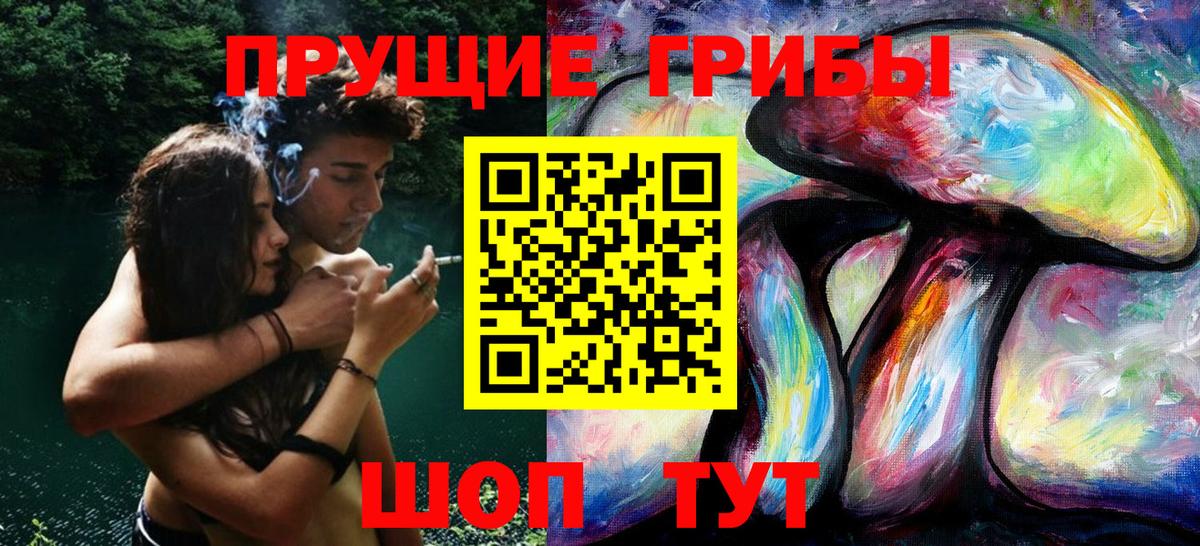 Магадан  Галлюциногенные грибы прущие грибы  Вход с VPN  Галлюциногенные грибы Psilocybine cubensis 
