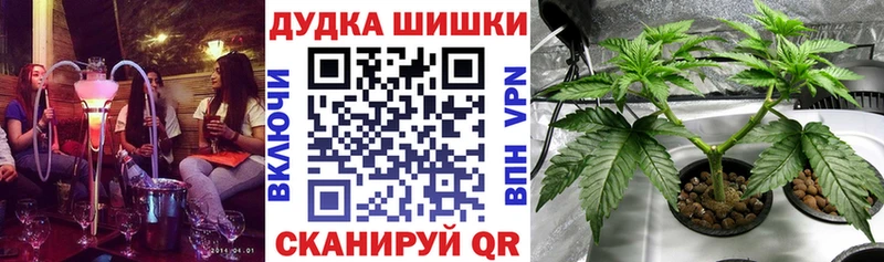 Бошки марихуана индика  что такое наркотик  мега вход  Магадан 